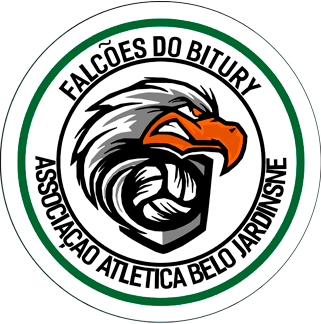 LOGO FALCOES