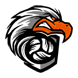 logo dos falcoes